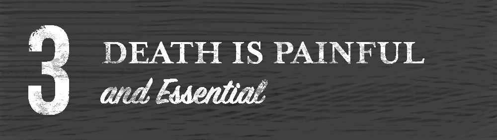 Death is painful and essential